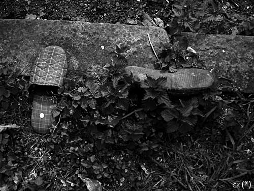L'image suspecte de Carol Kennedy