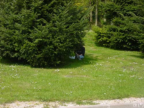 L'image suspecte de Carol Kennedy